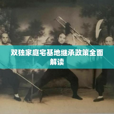 雙獨家庭宅基地繼承政策全面解讀