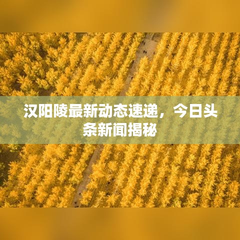 漢陽陵最新動(dòng)態(tài)速遞，今日頭條新聞揭秘