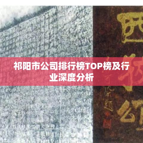 祁陽(yáng)市公司排行榜TOP榜及行業(yè)深度分析