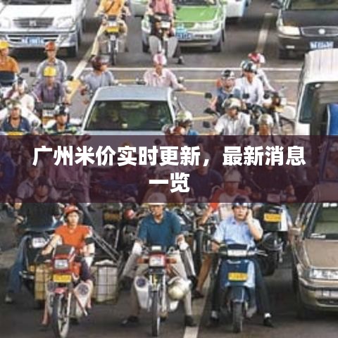 廣州米價(jià)實(shí)時(shí)更新，最新消息一覽