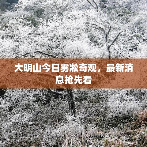 大明山今日霧凇奇觀，最新消息搶先看