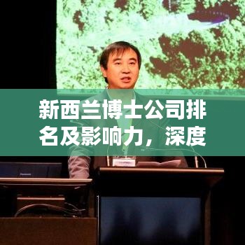 新西蘭博士公司排名及影響力，深度解析教育領(lǐng)域的佼佼者