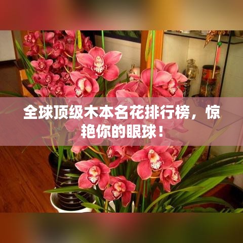 全球頂級(jí)木本名花排行榜，驚艷你的眼球！