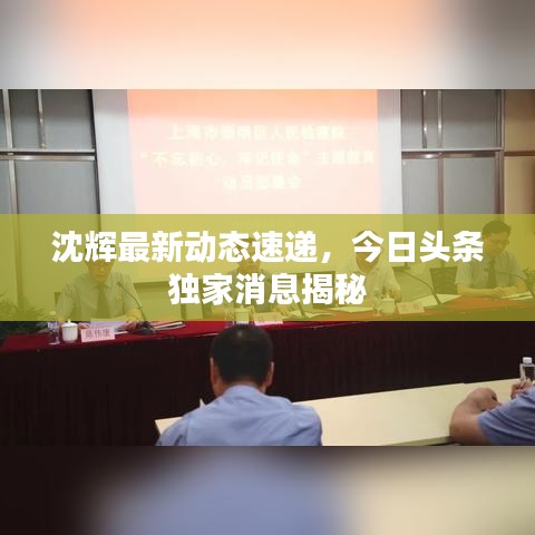 沈輝最新動(dòng)態(tài)速遞，今日頭條獨(dú)家消息揭秘