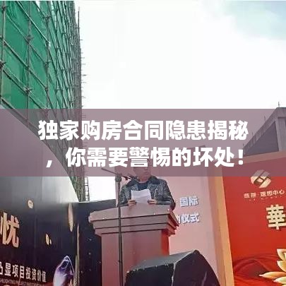 獨(dú)家購房合同隱患揭秘，你需要警惕的壞處！