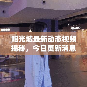 陽光城最新動態(tài)視頻揭秘，今日更新消息速遞！