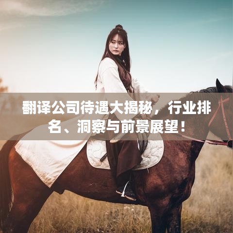 翻譯公司待遇大揭秘，行業(yè)排名、洞察與前景展望！