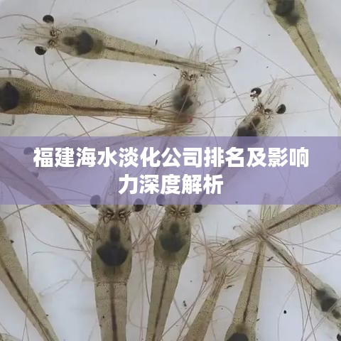 福建海水淡化公司排名及影響力深度解析