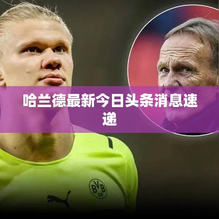 哈蘭德最新今日頭條消息速遞