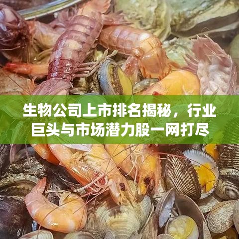 生物公司上市排名揭秘，行業(yè)巨頭與市場(chǎng)潛力股一網(wǎng)打盡