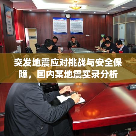 突發(fā)地震應(yīng)對挑戰(zhàn)與安全保障，國內(nèi)某地震實錄分析