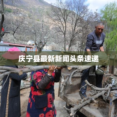 慶寧縣最新新聞頭條速遞