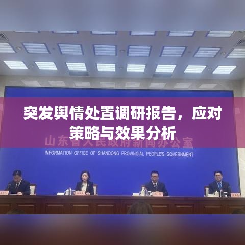 突發(fā)輿情處置調(diào)研報告，應(yīng)對策略與效果分析