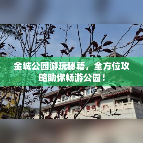 金城公園游玩秘籍，全方位攻略助你暢游公園！