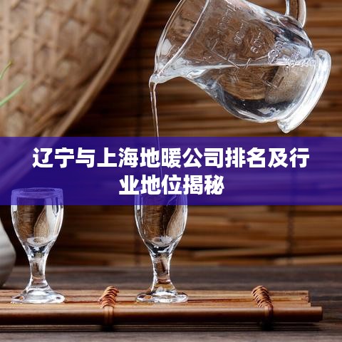 遼寧與上海地暖公司排名及行業(yè)地位揭秘