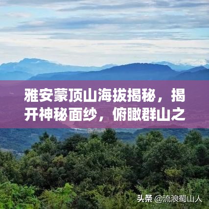 雅安蒙頂山海拔揭秘，揭開神秘面紗，俯瞰群山之美
