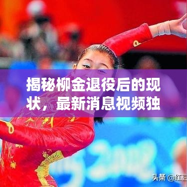揭秘柳金退役后的現(xiàn)狀，最新消息視頻獨(dú)家曝光！