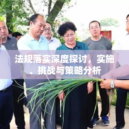 法規(guī)落實(shí)深度探討，實(shí)施、挑戰(zhàn)與策略分析