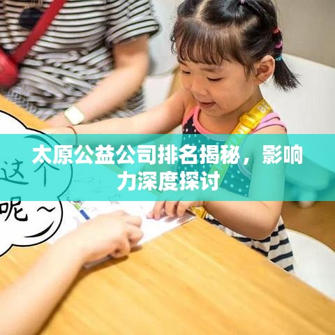 太原公益公司排名揭秘，影響力深度探討