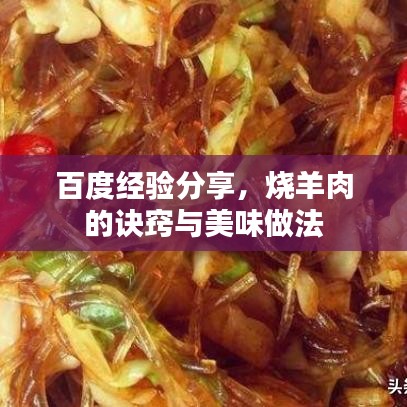 百度經(jīng)驗(yàn)分享，燒羊肉的訣竅與美味做法