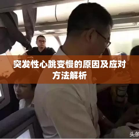 突發(fā)性心跳變慢的原因及應(yīng)對方法解析
