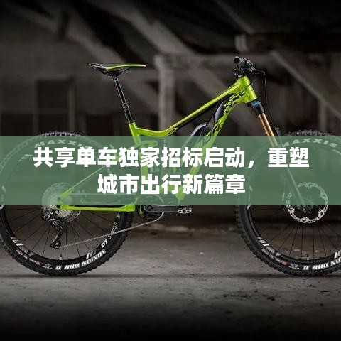 共享單車獨家招標(biāo)啟動，重塑城市出行新篇章