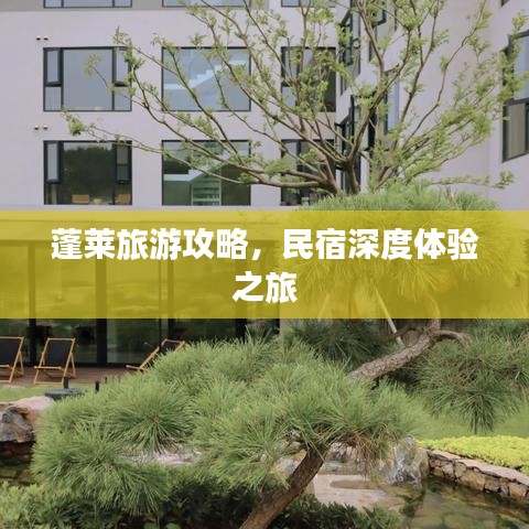 蓬萊旅游攻略，民宿深度體驗之旅