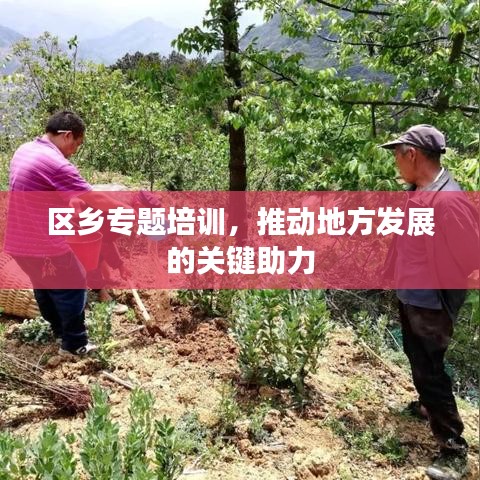 區(qū)鄉(xiāng)專題培訓，推動地方發(fā)展的關鍵助力