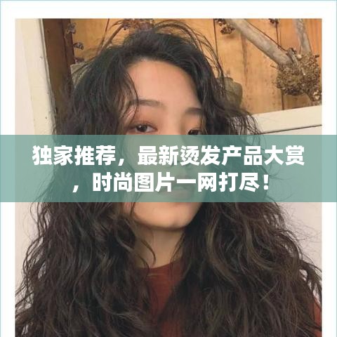 獨(dú)家推薦，最新?tīng)C發(fā)產(chǎn)品大賞，時(shí)尚圖片一網(wǎng)打盡！