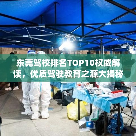 東莞駕校排名TOP10權威解讀，優(yōu)質駕駛教育之源大揭秘
