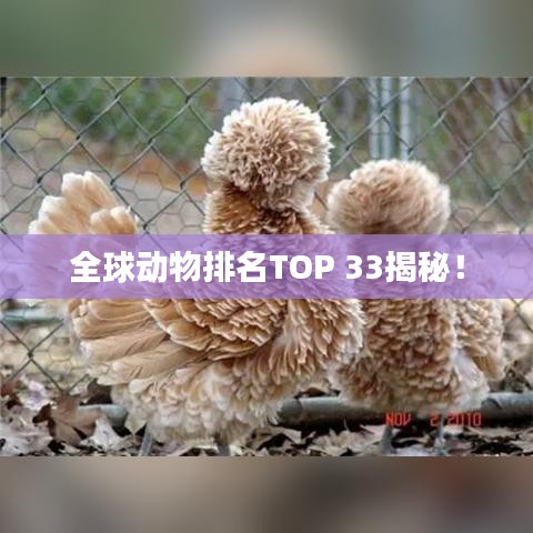十年磨劍 第2頁