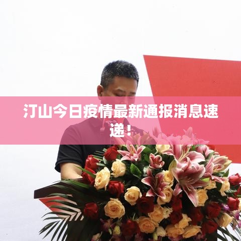 汀山今日疫情最新通報消息速遞！