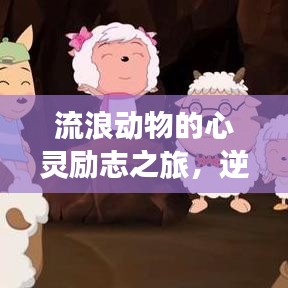 流浪動(dòng)物的心靈勵(lì)志之旅，逆境中的堅(jiān)韌與希望