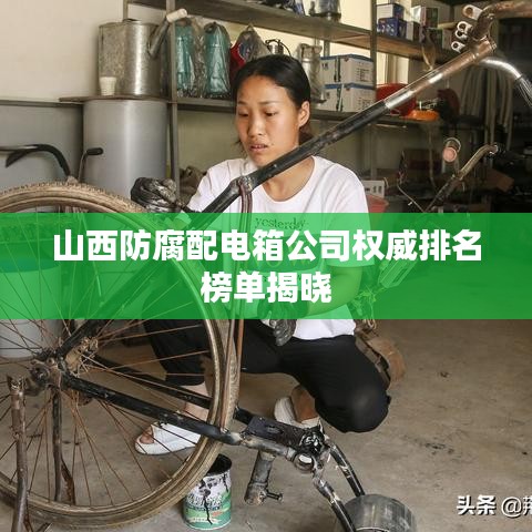 山西防腐配電箱公司權(quán)威排名榜單揭曉