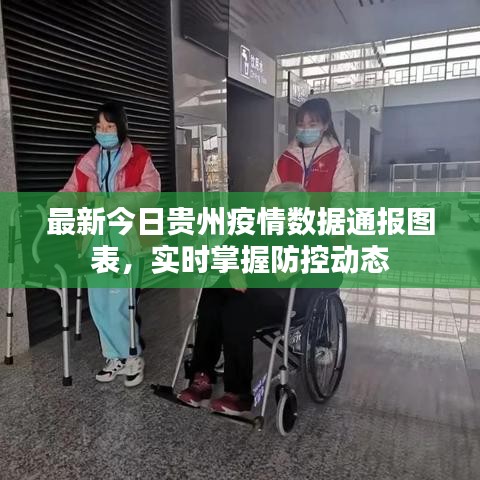最新今日貴州疫情數(shù)據(jù)通報(bào)圖表，實(shí)時(shí)掌握防控動(dòng)態(tài)