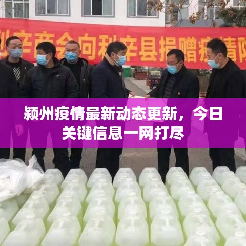 潁州疫情最新動態(tài)更新，今日關鍵信息一網(wǎng)打盡