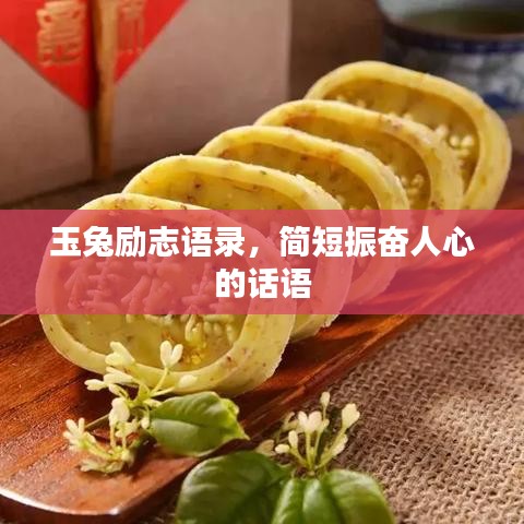 玉兔勵(lì)志語(yǔ)錄，簡(jiǎn)短振奮人心的話語(yǔ)