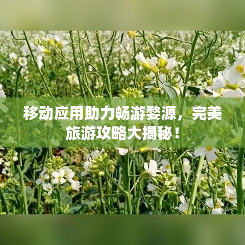 移動(dòng)應(yīng)用助力暢游婺源，完美旅游攻略大揭秘！