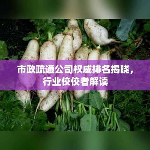 市政疏通公司權(quán)威排名揭曉，行業(yè)佼佼者解讀