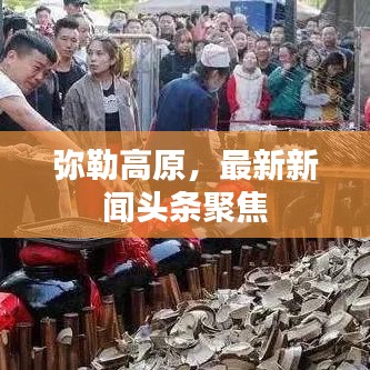 彌勒高原，最新新聞頭條聚焦