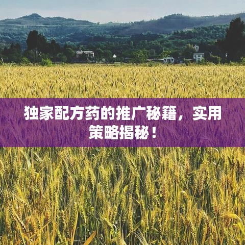 獨(dú)家配方藥的推廣秘籍，實用策略揭秘！