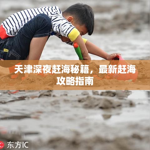 天津深夜趕海秘籍，最新趕海攻略指南