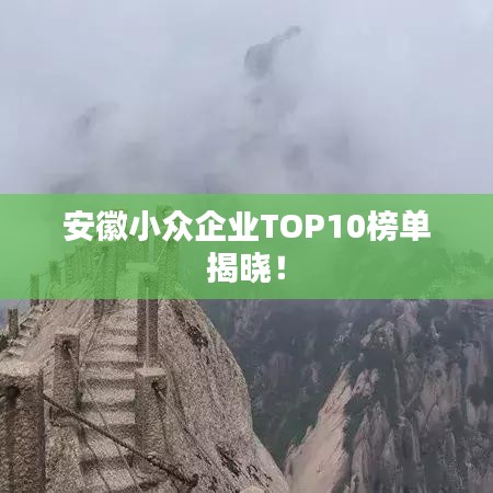 安徽小眾企業(yè)TOP10榜單揭曉！