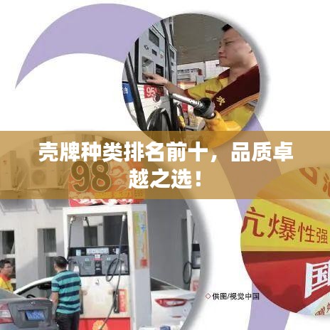 殼牌種類排名前十，品質(zhì)卓越之選！