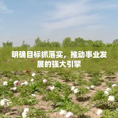 明確目標(biāo)抓落實(shí)，推動(dòng)事業(yè)發(fā)展的強(qiáng)大引擎