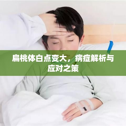 扁桃體白點變大，病癥解析與應(yīng)對之策