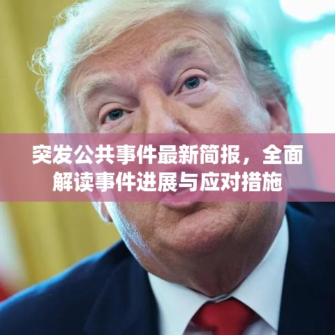 突發(fā)公共事件最新簡(jiǎn)報(bào)，全面解讀事件進(jìn)展與應(yīng)對(duì)措施
