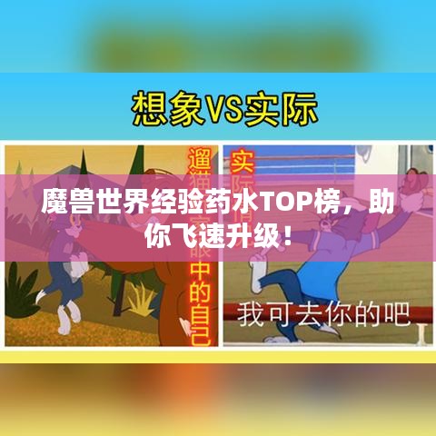 魔獸世界經(jīng)驗藥水TOP榜，助你飛速升級！
