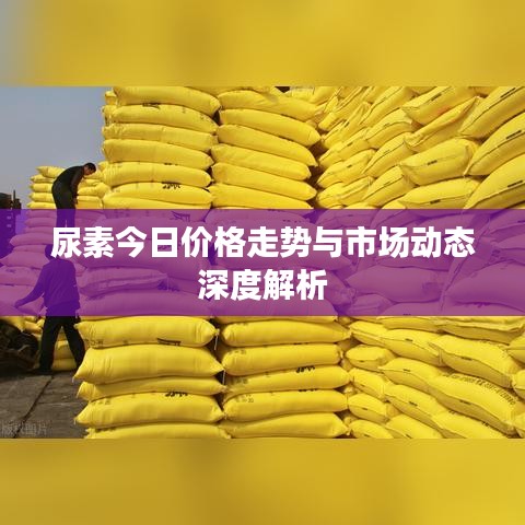 尿素今日價格走勢與市場動態(tài)深度解析