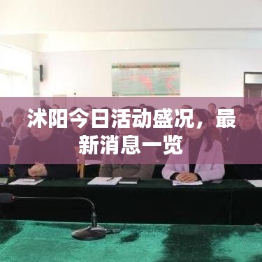 沭陽今日活動盛況，最新消息一覽